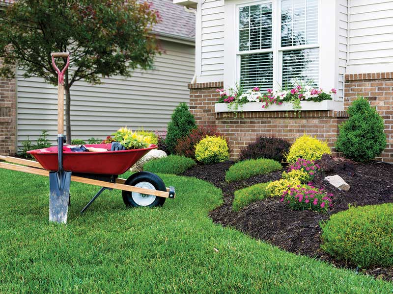 Layered, low-maintenance landscaping in front of a home