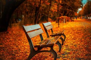 are there benefits to selling a house in the fall? take a look at how nice the season looks in this photo with all the colourful leaves everywhere and decide for yourself